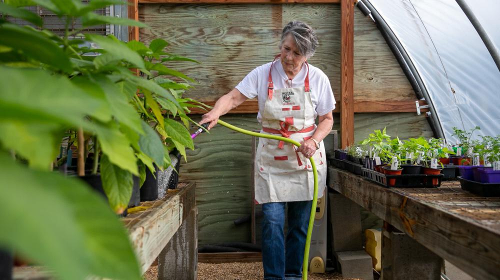 Woman in a greenhouse watering plants.