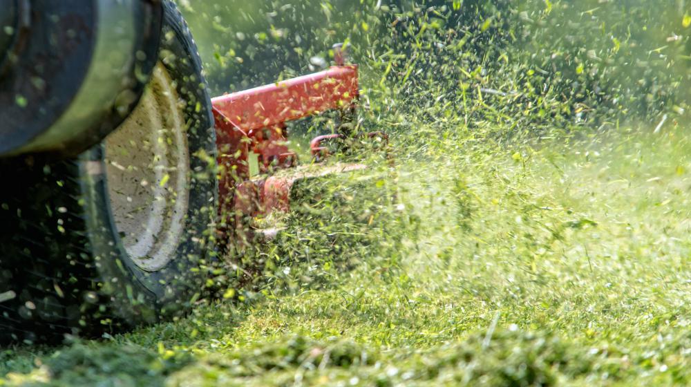 Close up shot of a lawn mower cutting grass
