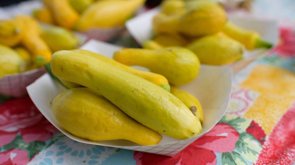Yellow squash in a paper bowl sitting on a red and white checkered tablecloth.