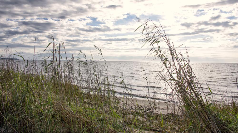 Photo credit: Kevin Hudson Dunes with grass appear in the foreground with the sun shining on the blue waters of the Mississippi Sound at Graveline Bayou in Jackson County.