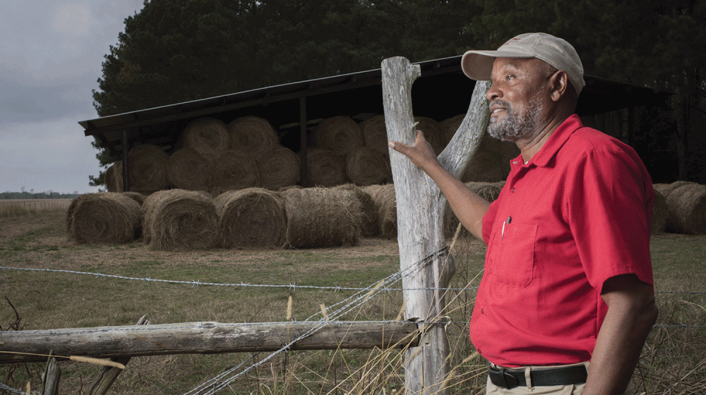 A man holds onto fence as he looks at a field with stacked hay bales in it.