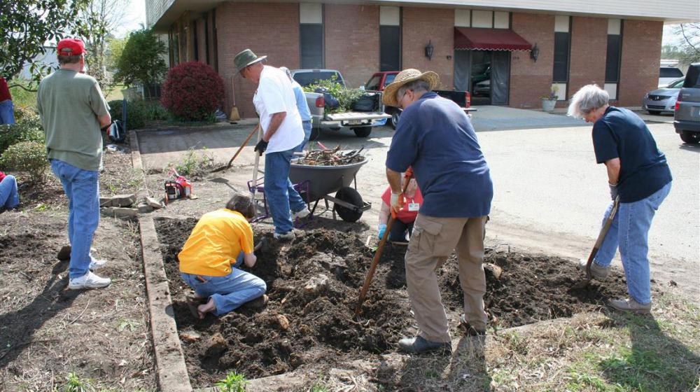 Seven adults working in a bed of dirt.