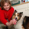 Susan Seal and her dog Sadie.