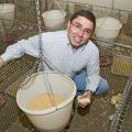 Alex Corzo, assistant poultry science research professor at Mississippi State University, carefully monitors chicks that eat feed containing an ethanol byproduct. (Photo by Marco Nicovich)