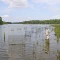 Mississippi State University graduate student Jonathan Paul Fleming researches several different plant species in the Bear Creek Lakes that may improve its habitat. (Photo by MSU Wildlife and Fisheries/Eric Dribble)