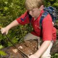 Peter Drackett, 11, of Long Beach scrapes the bark of a dead tree at the Noxubee Wildlife Refuge to find pine bark beetles. (Photo by Kat Lawrence)