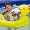 Lisa Pritchard, veterinary technician and mascot coordinator for Bully XX at Mississippi State University's College of Veterinary Medicine, is MSU's 2012 Veterinary Technician of the Year.