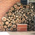 One way to prevent the arrival of termites in the house is to keep stacked wood off the ground and away from exterior walls. (Photo by MSU Ag Communications/Scott Corey)