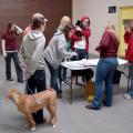 Dogs from 10 Mississippi animal shelters and rescues get ready to head north as part of the Homeward Bound project at Mississippi State University's College of Veterinary Medicine. Volunteers record the arrival of each dog before it goes to various stations to ensure it is ready for transport to the Northeast, where there is a shortage of puppies available for adoption. (Photo courtesy of Ryan Gibson)