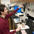 Curiosity led Clarissa Balbalian, the manager of Mississippi State University's plant diagnostic lab, into her career as a plant pathologist. (File photo by MSU Ag Communications/Scott Corey)