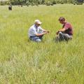 Durwood Gordon, left, and Judd Gentry examine the native-grass pasture in Gordon's intensive grazing operation in Panola County. Gordon Farms is participating in Mississippi State University's REACH program. (Photo by MSU Ag Communications/Scott Corey)