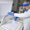 A power outage caused by a natural disaster can destroy years of research and data collection. Larry Hanson uses the Mississippi State University College of Veterinary Medicine's cryogenic freezer to store fish cell cultures at -150 degree Celsius. The freezer is linked to a backup liquid nitrogen tank to keep it cold even when the electricity fails. (Photo by MSU College of Veterinary Medicine/Tom Thompson)