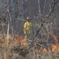 Clyde Brown, an agricultural technician with Mississippi State University's Forest and Wildlife Research Center, stands on a fire lane to monitor a prescribed fire on a cut-over in Oktibbeha County. After the site was clear cut and an aerial application of herbicide was applied, it was burned and replanted in pines. (Photo by MSU Forest and Wildlife Research Center)