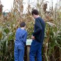 Maps can be helpful for all ages finding their way through corn mazes, as these brothers discovered in northwest Arkansas on Oct. 26, 2013. Landowners with an interest in agritourism also need guidance through the maze of liability issues. (Photo by MSU Ag Communications/ Linda Breazeale)