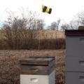 To increase awareness of honeybee hives located near agricultural fields, the Mississippi Honey Bee Stewardship Program recommends beekeepers post Bee Aware flags, such as this one spotted at Mississippi State University's H. H. Leveck Animal Research Center on Jan. 31, 2014. (Photo courtesy of Angus Catchot)