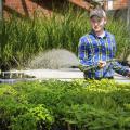 Dallas O'Bryant of West Point, a senior at Mississippi State University, waters seedlings in the greenhouses behind Dorman Hall on March 8, 2013. An agribusiness major and owner of Double D Farms, O'Bryant plans to pursue a career growing produce. (Photo by MSU Ag Communications/Kat Lawrence)