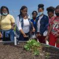 A group of teens examining a plant with a teacher.