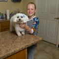 A smiling young girl and a small, white dog with a blue bow on one ear.