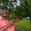 A Black man wearing a baseball hat and smiling, standing holding a pecan treebranch.