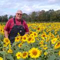A person wearing overalls and standing in field of blooming sunflowers.
