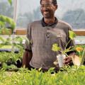 A man holding a styrofoam cup with a plant sprout.