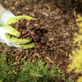 A person putting mulch on a flower bed.