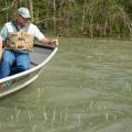 Doug Jeter needs a boat to visit his 150 acres of wheat near the Yazoo River. He holds a wheat head that grew on one of the higher spots in his flooded wheat field in Warren County.  (Photo by Linda Breazeale)