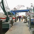 Shrimp boats line the public docks in Biloxi after spending the night harvesting in the Gulf. Shrimp lovers are finding good supplies, but prices are up this season. (Photo by Bob Ratliff)