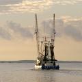 The Master Stephen sets off into the Mississippi Sound off of Biloxi to catch shrimp. (File photo by MSU Extension Service/Dave Burrage)