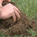 A pair of hands pull rich soil from the ground with green grass around it.