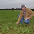 A man in a jacket and baseball cap kneels down to touch small, grass-like plants that cover a field.