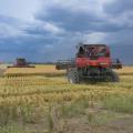 Two large, red farm machines sit in a partially harvested rice field under a dark-blue sky with lowering clouds