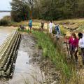 Seven people with garden shovels add grassy plants to a shoreline with large concrete bricks forming a long narrow formation in the water just off the shore.