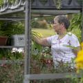 A woman reaches for a plant on an outdoor shelving unit.