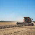 Combine picks soybeans in a field.