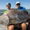 Two men in a boat pose with a large fish in their laps.