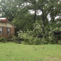 A large hardwood tree is snapped off and lays on the ground beside a house.