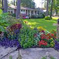 A mailbox stands at one end of a flower garden.