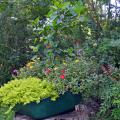 An old wheelbarrow filled with flowers sits on a tree stump.