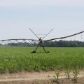 A metal spray system stands in a corn field.