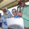 Three young people hold medical equipment in a barn.