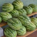 Watermelons sit on shelves outside a local market.