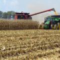 Despite rain delays, corn harvest is in full swing across Mississippi on fields such as this one on a Leflore County farm in Morgan City on Aug. 24, 2016. (Photo by MSU Extension Service/Erick Larson)