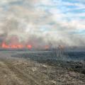 Prescribed burning is a useful and very valuable management option on public and private lands. (Photo by MSU Extension Service)