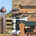 Different birdfeeder styles appeal to different bird species, so installing a greater variety of feeders will attract diverse birds. Most backyard bird species prefer black oil sunflower seeds. (Photos by MSU Extension Service/Adam Rohnke)