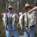 Great days on the lake like this one do not just happen. Fish management plays a significant role in meeting the pond owner’s desire for growing trophy bass. (Submitted photo)