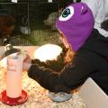 Aimee Buckley, a member of Morgan Moss’s third-grade class at Houston Upper Elementary School, holds a chick at the FARMtastic event at Mississippi State University on Nov. 13, 2014. (Photo by MSU Ag Communications/Kevin Hudson)