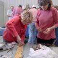 Starkville resident Kathy Elmore, left, cuts a hole into a rootstock during a fruit-grafting workshop on March 26, 2015, at the Northeast Mississippi Research and Extension Center in Verona as Donna Miller of Starkville looks on. (Photo by MSU Ag Communications/Nathan Gregory)