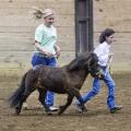 Cassie Brunson, coordinator of the Mississippi State University Extension Service Therapeutic Riding and Activity Center, runs beside Little Sam, led by Paige Davis Linley, 10, a participant in the first Therapeutic Riding Expo, held Tuesday night (April 14) at the Mississippi Horse Park near Starkville, Miss. (Photo by MSU Public Affairs/Megan Bean)