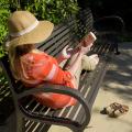 Take proper precautions, such as wearing a wide-brimmed hat and applying sunscreen, to protect skin from sun damage and help prevent skin cancer. (Photo by MSU Ag Communications/Kevin Hudson)